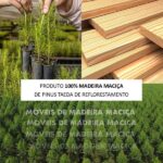 Guarda-roupa Bipartido 6 Portas 6 Gavetas 100% Madeira Maciça Linha Ouro Café - Imagem 2