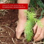 Guarda-roupa Solteiro Madesa Tokio 2 Portas De Correr 2 Gavetas - Rustic/branco - Imagem 9